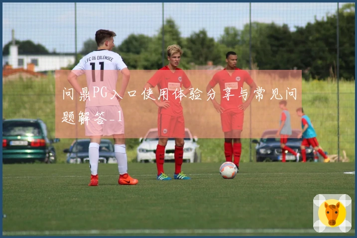 问鼎PG入口使用体验分享与常见问题解答_1