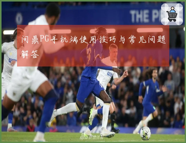 问鼎PG手机端使用技巧与常见问题解答